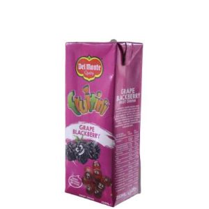 Fruitini Grape Blackberry 250ml 1*24 Piece(s)
